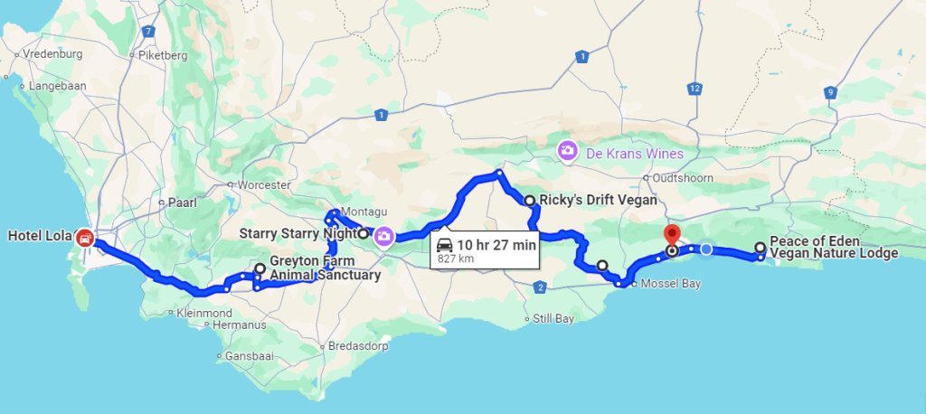 Google Maps